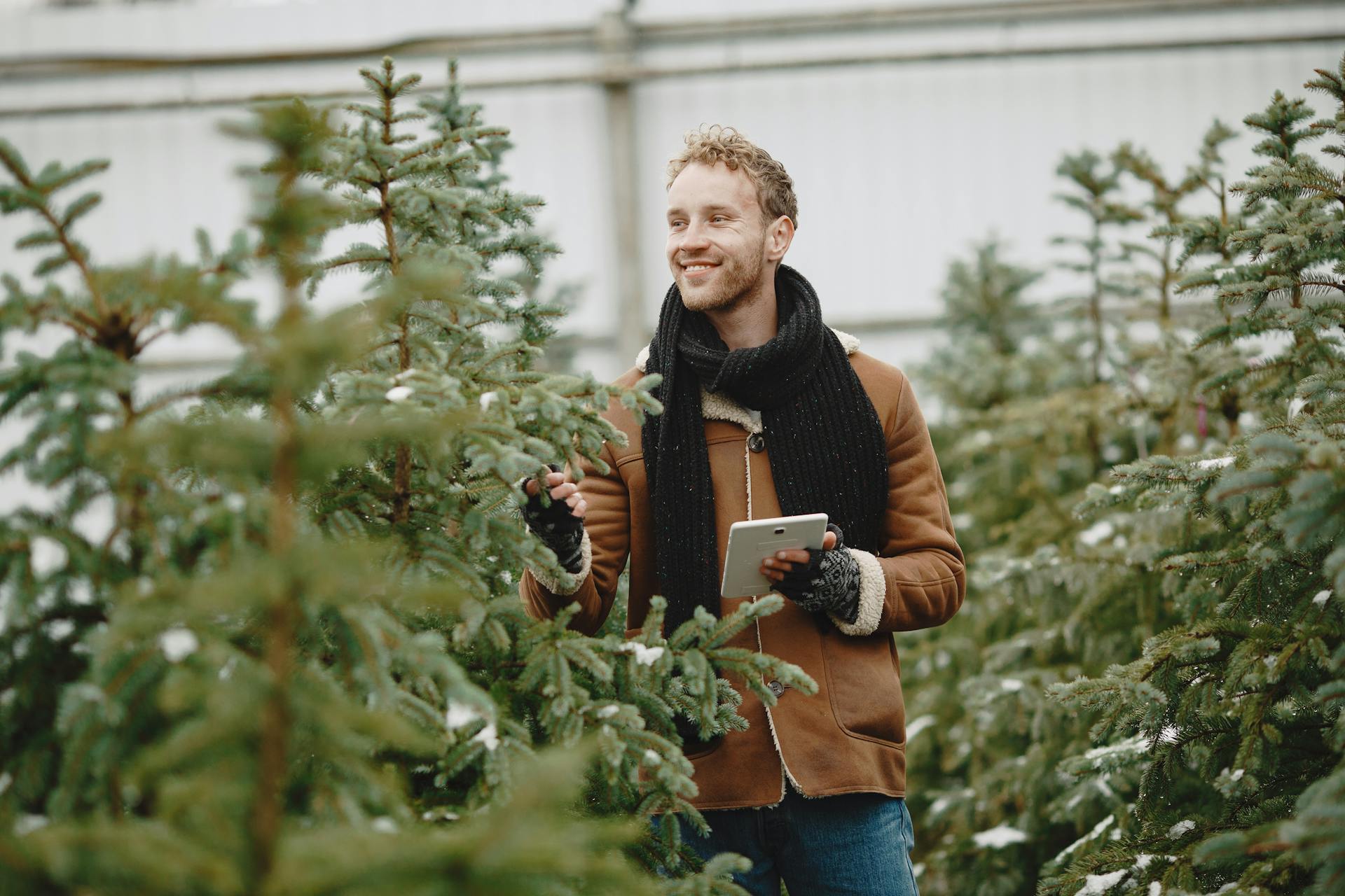 Seasonal Considerations