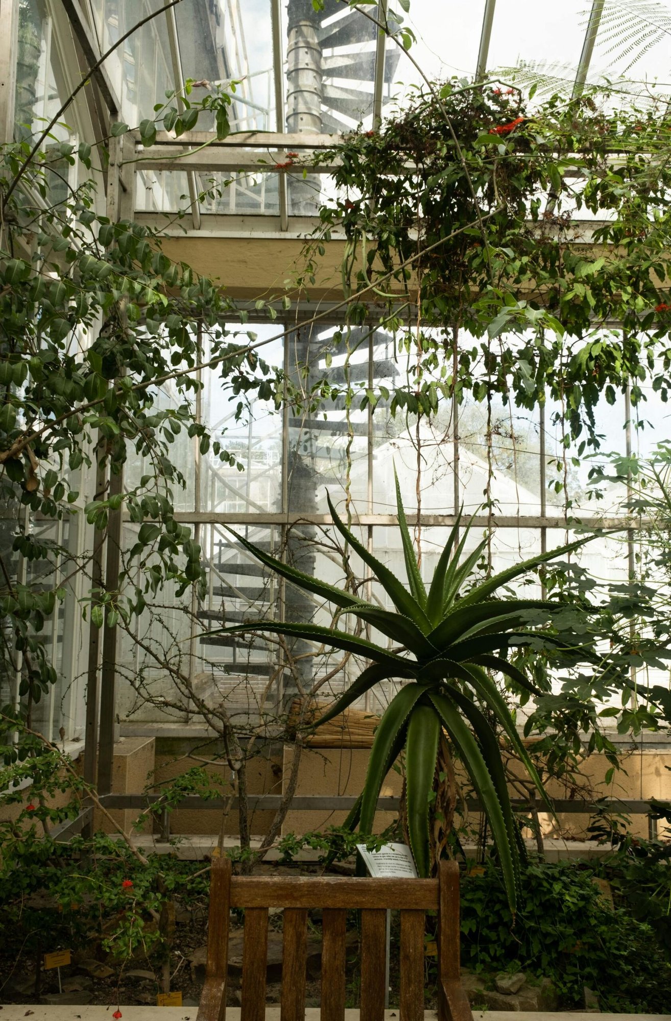 Maintenance Tips for Vertical Gardens