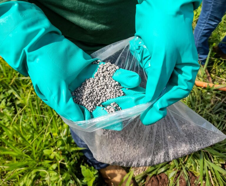 slow release fertiliser