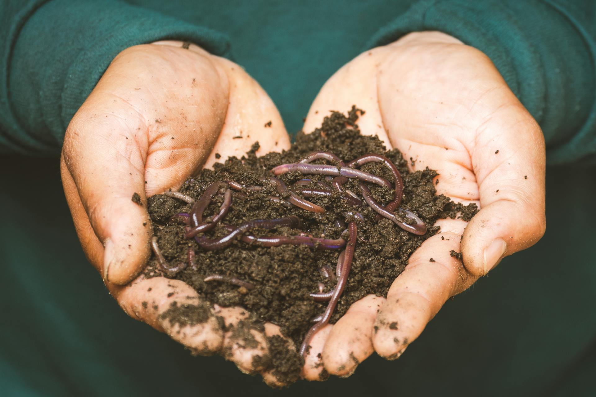 How to Make Your Own Compost at Home