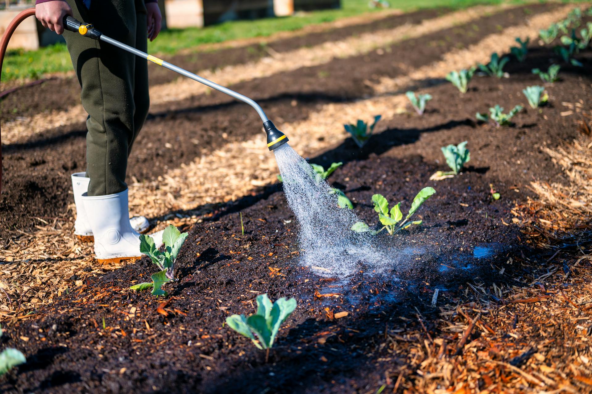 How to Use Mulch in Your Garden