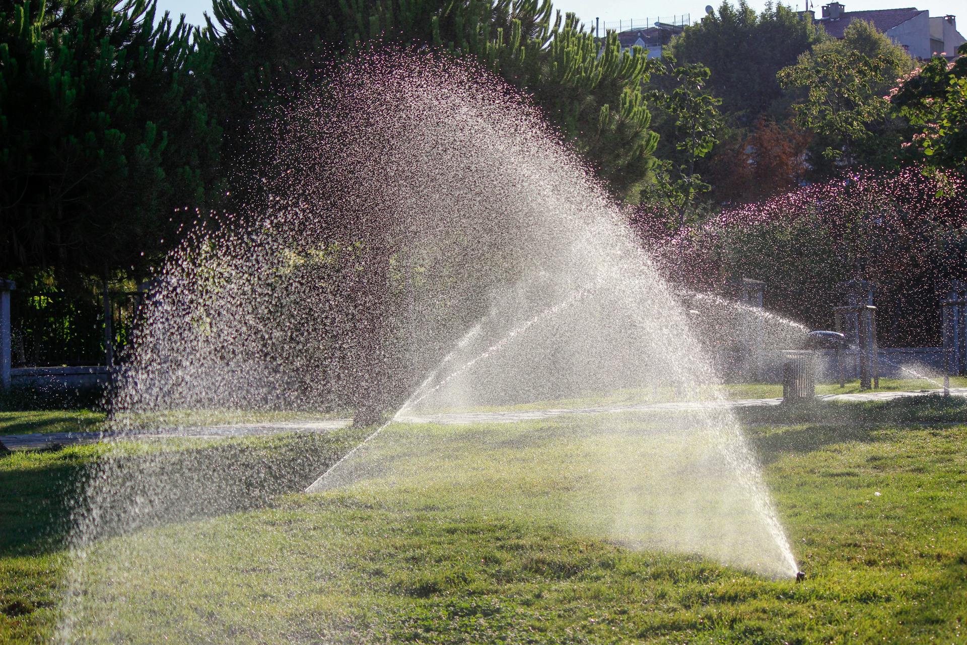 When to Water Your Lawn