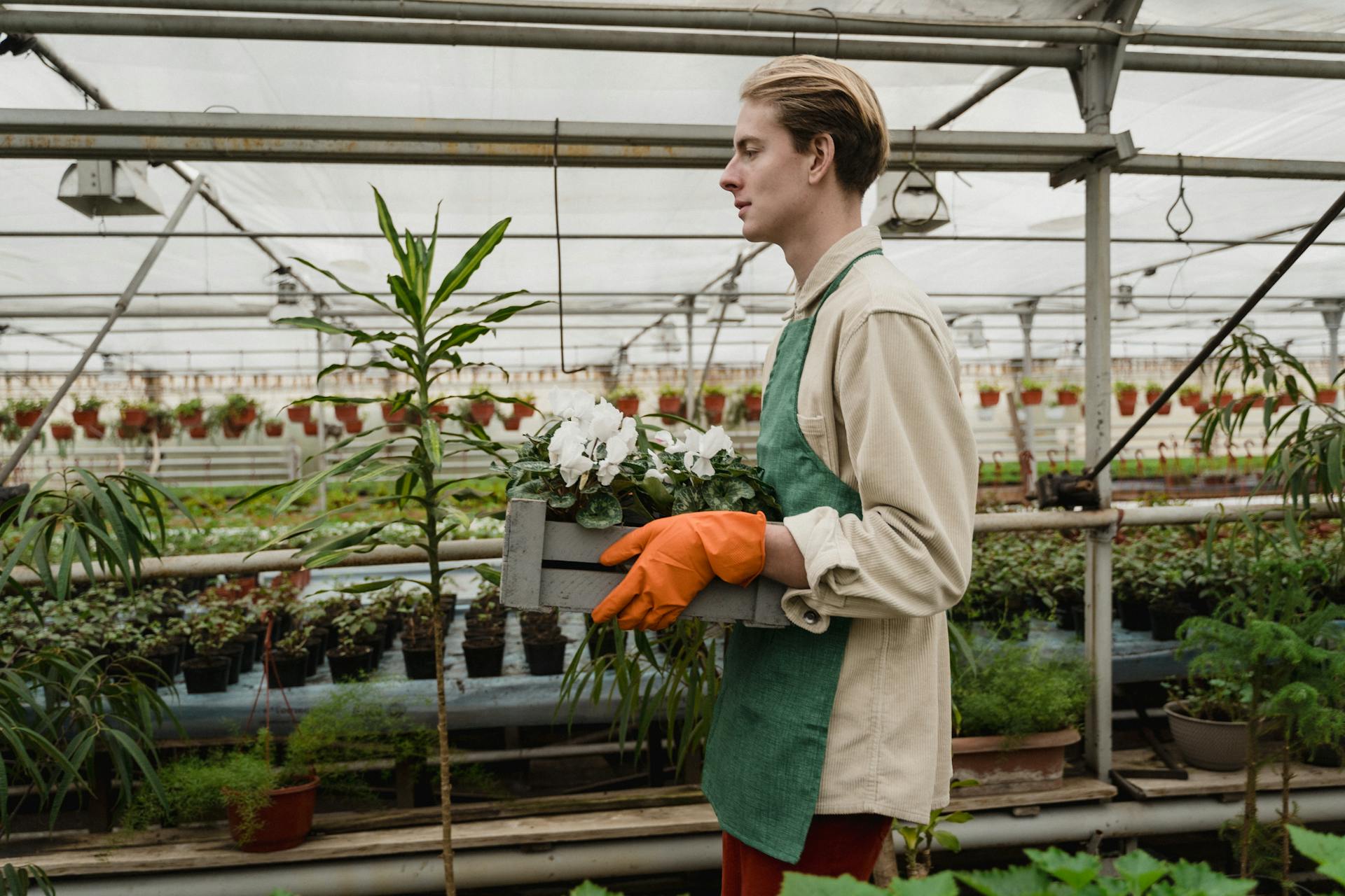 Understand Your Garden’s Conditions