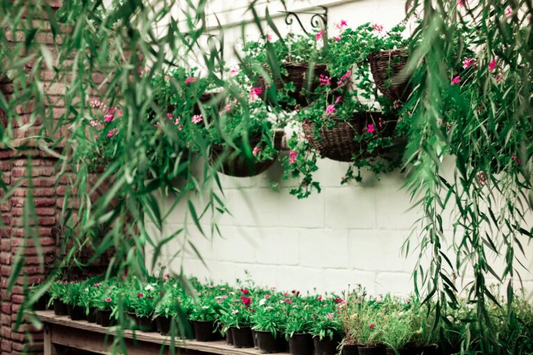 Vertical Gardening for Small Spaces
