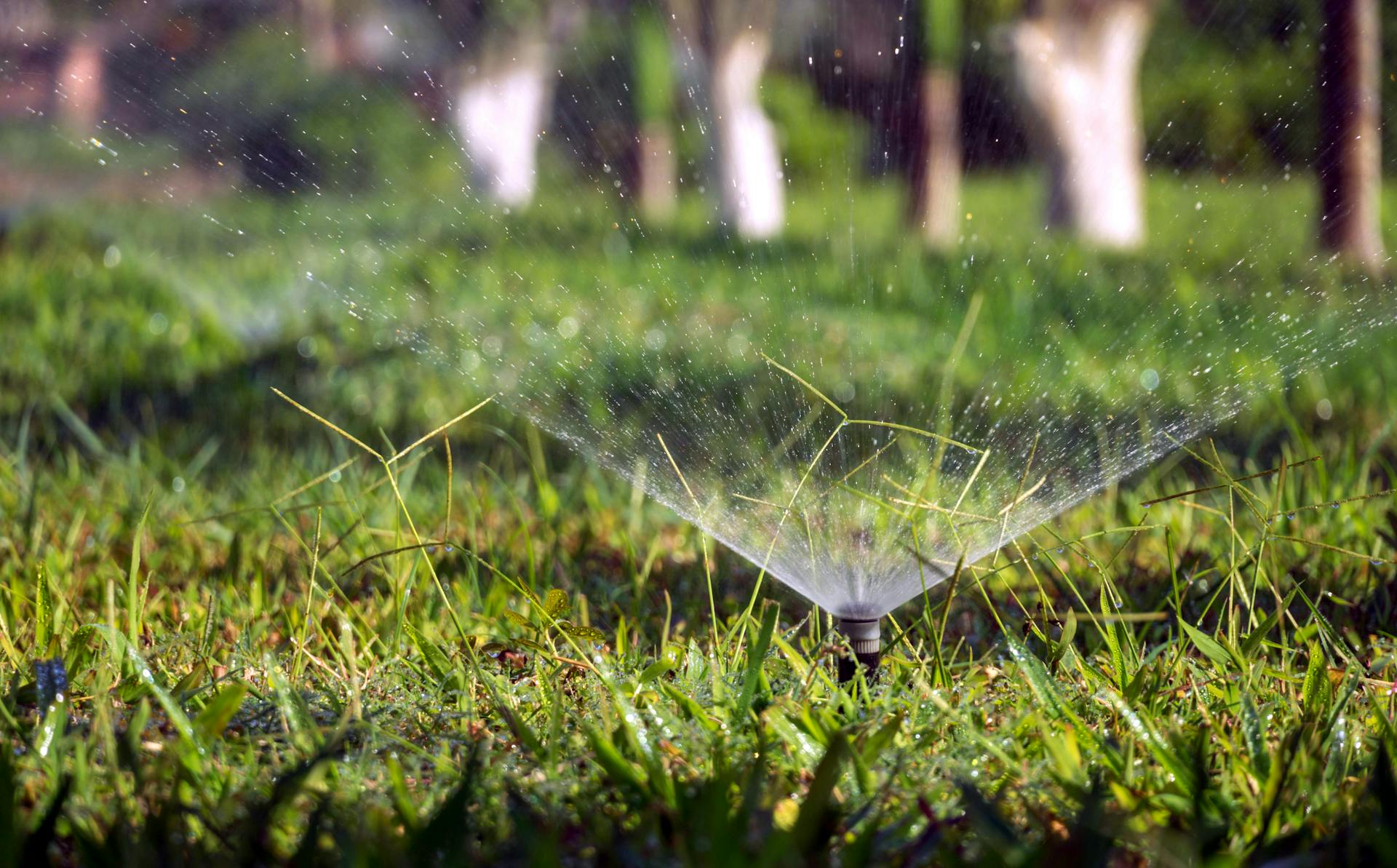 Understanding Your Lawn’s Water Needs
