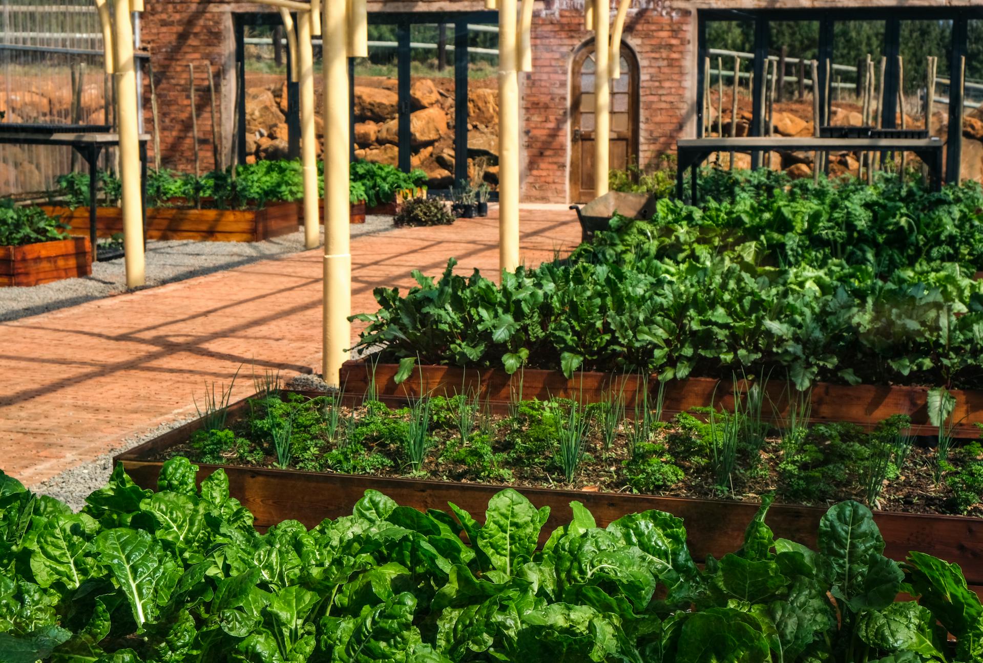 Benefits of Raised Bed Gardening