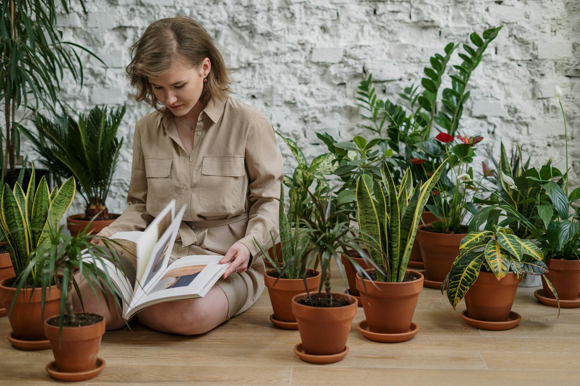 Common Mistakes to Avoid When Caring for Indoor Plants