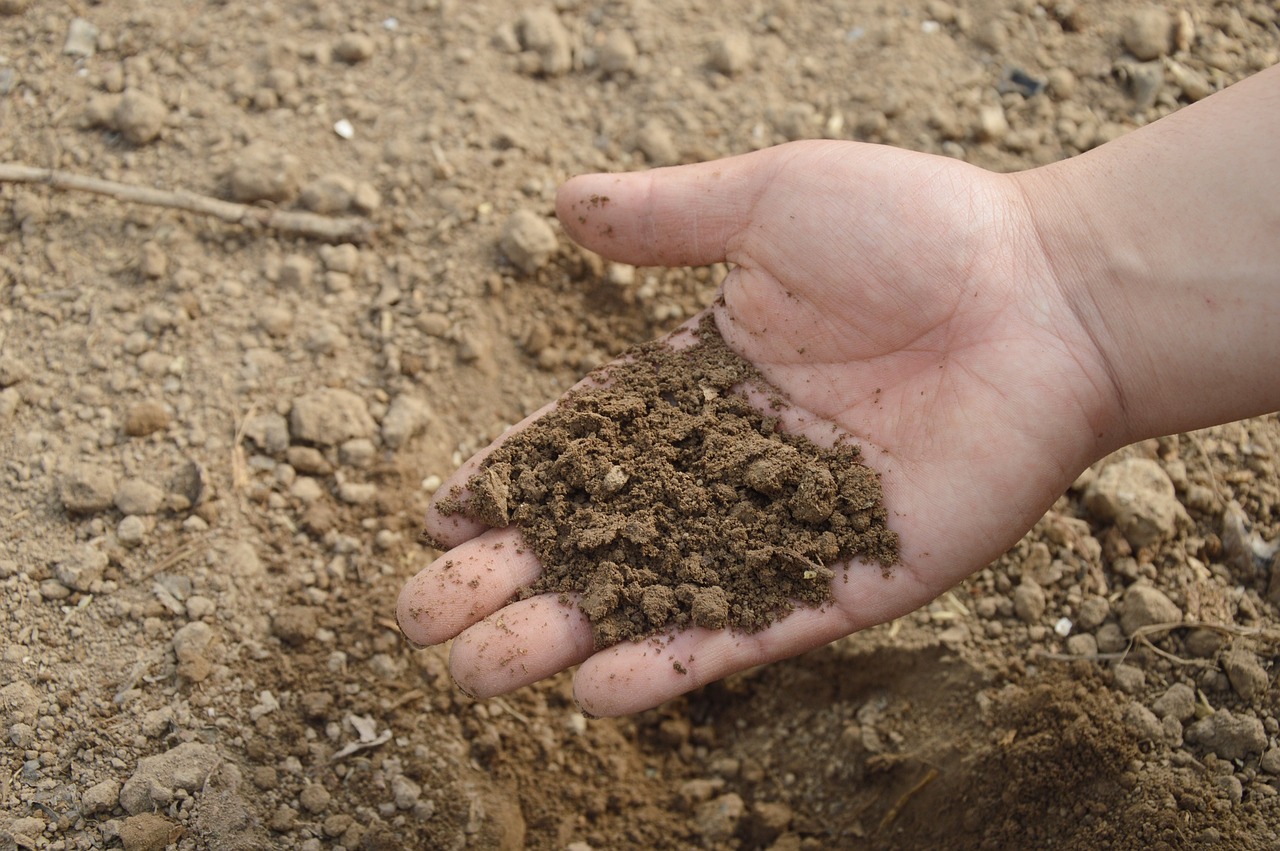 Common Soil pH Problems and Solutions