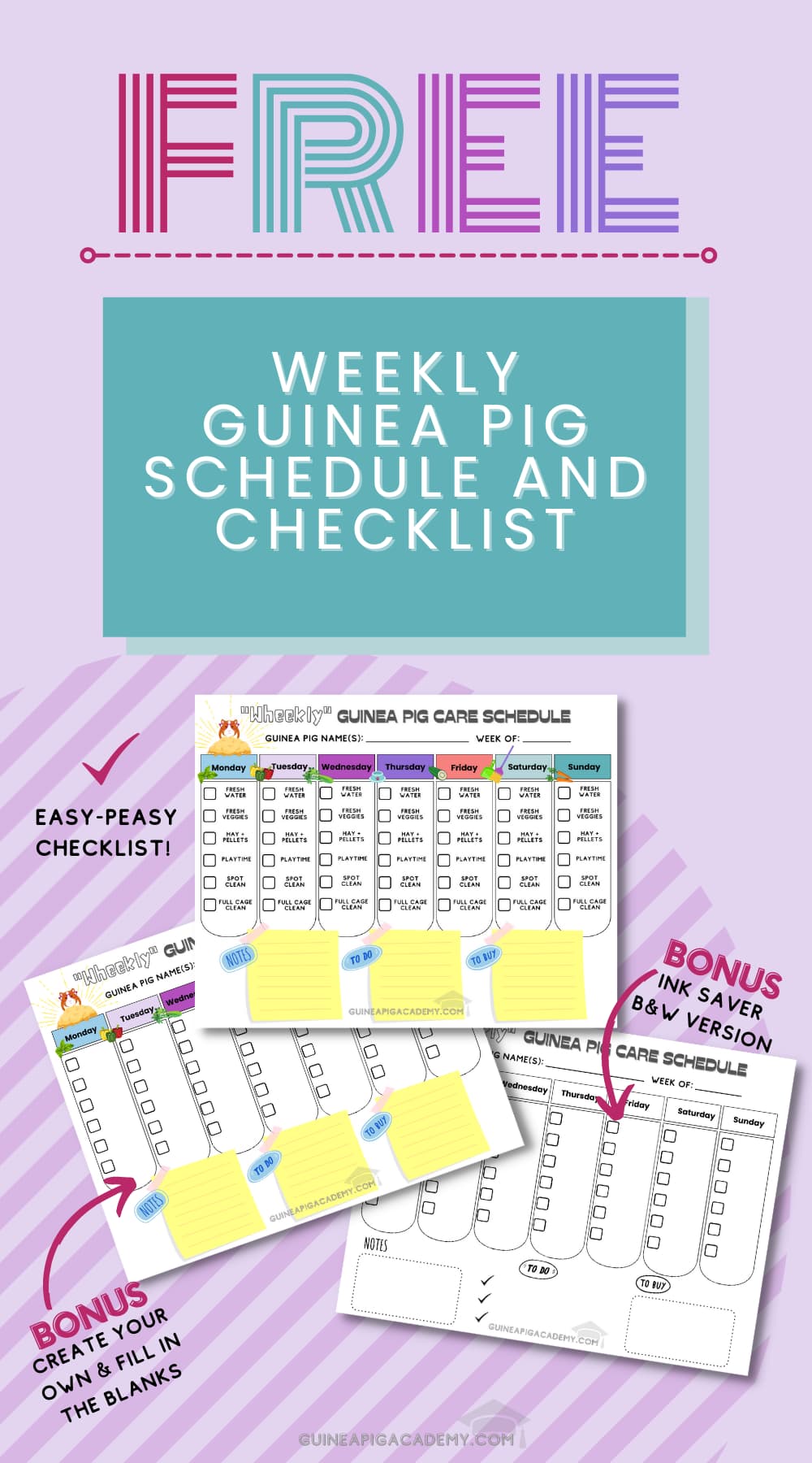 Free Weekly Guinea Pig Schedule and Checklist