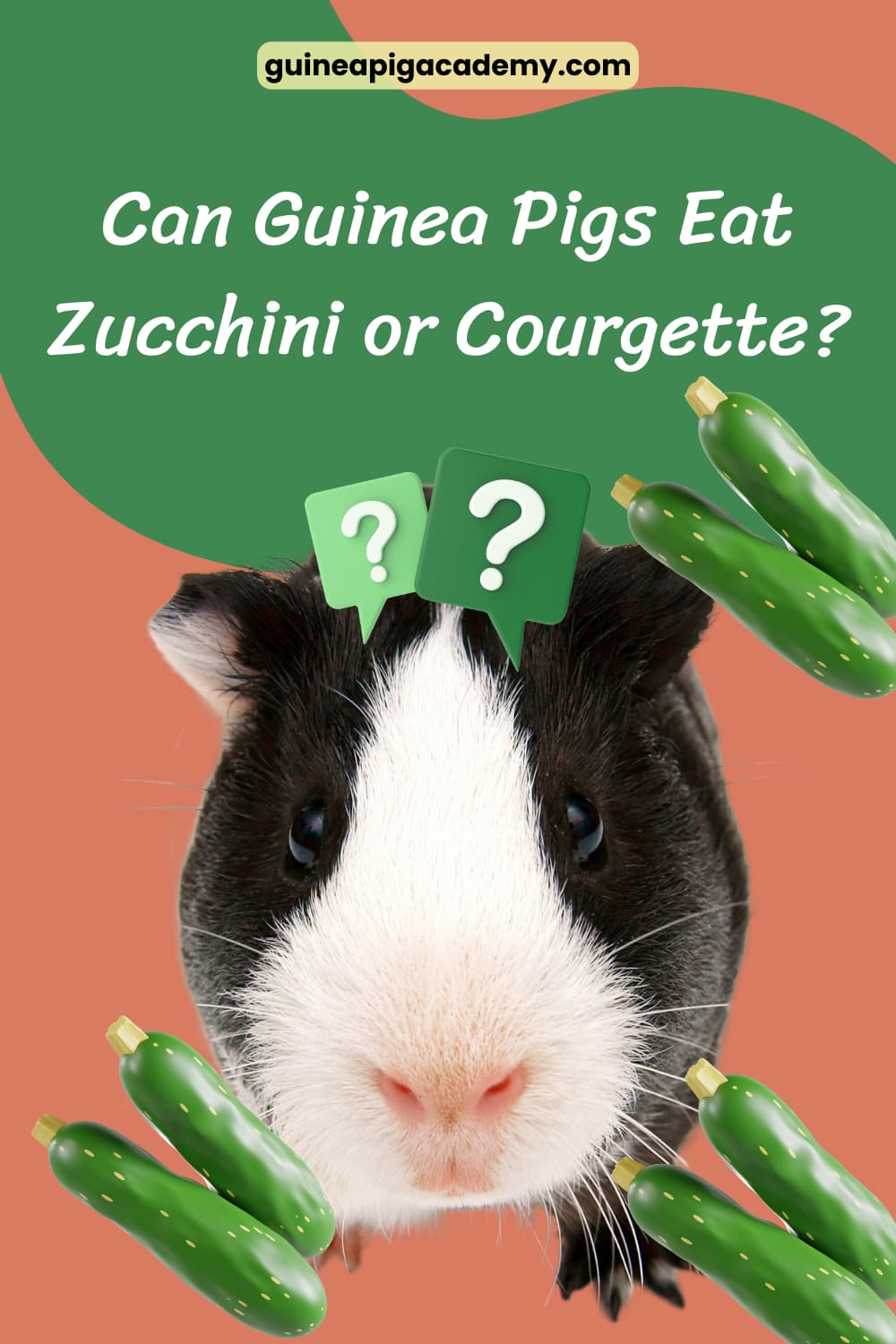 Can guinea pigs eat zucchini or courgette?.