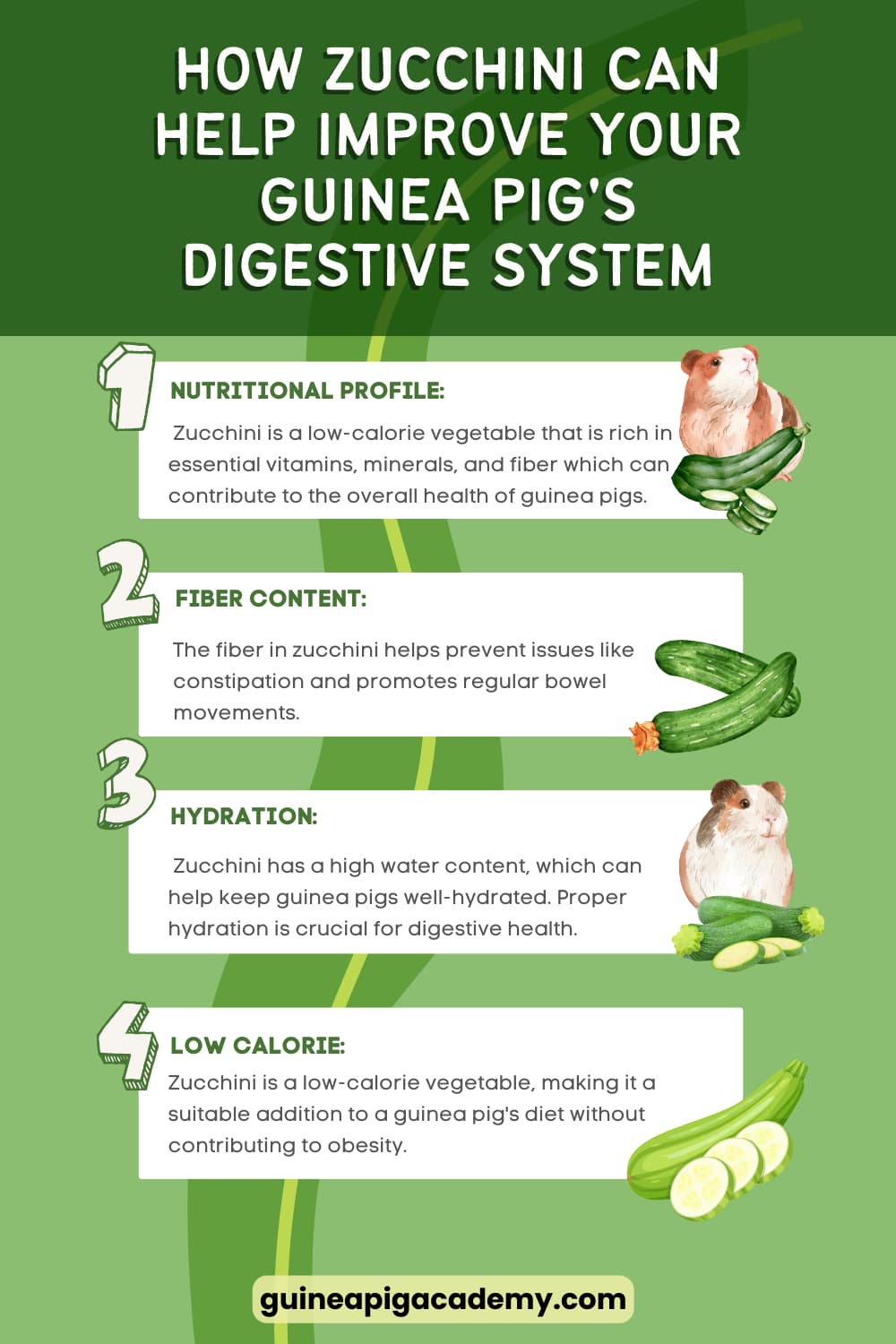 How zucchini can improve your guinea pig's digestive system.