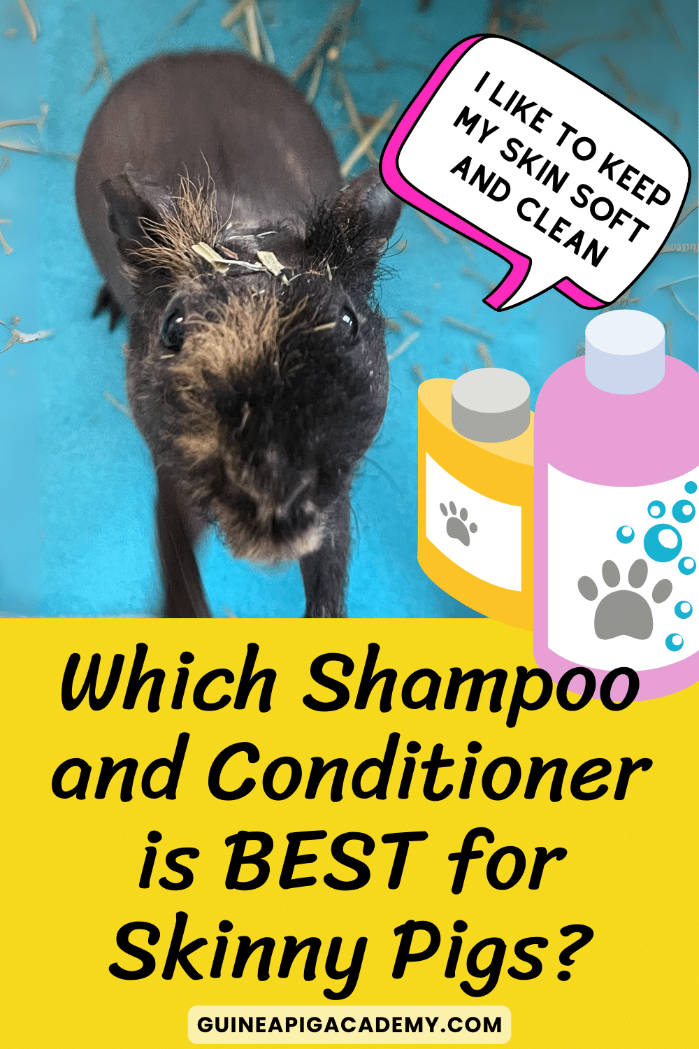 Which shampoo and conditioner is best for skinny pigs who need baths?