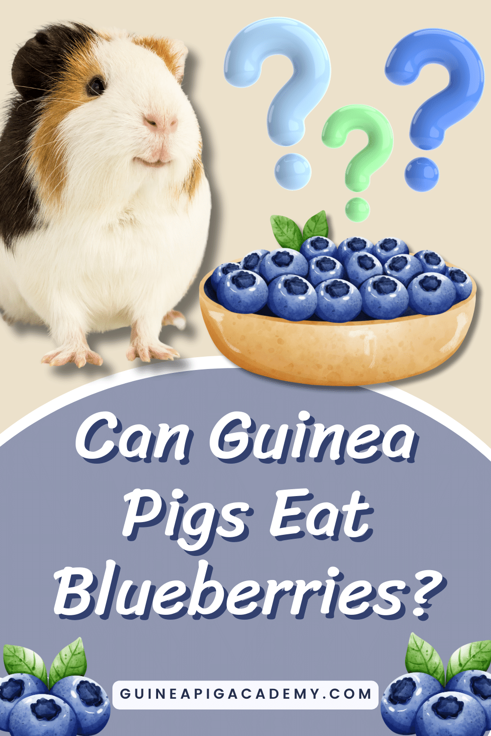 Can guinea pigs eat blueberries?