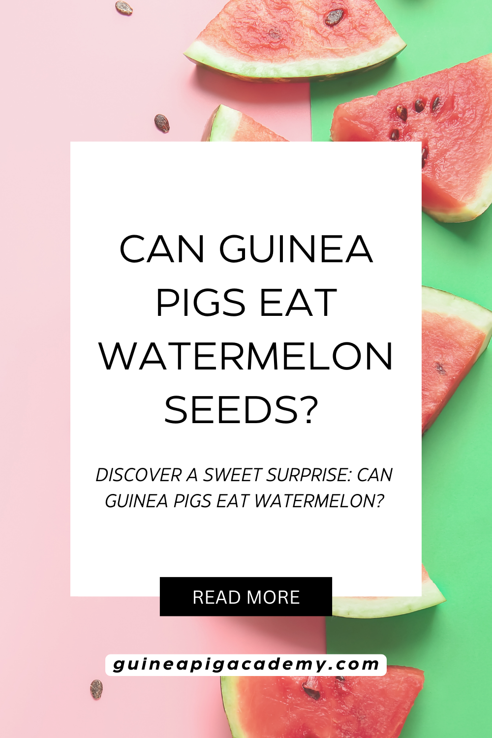 Can guinea pigs eat watermelon seeds?