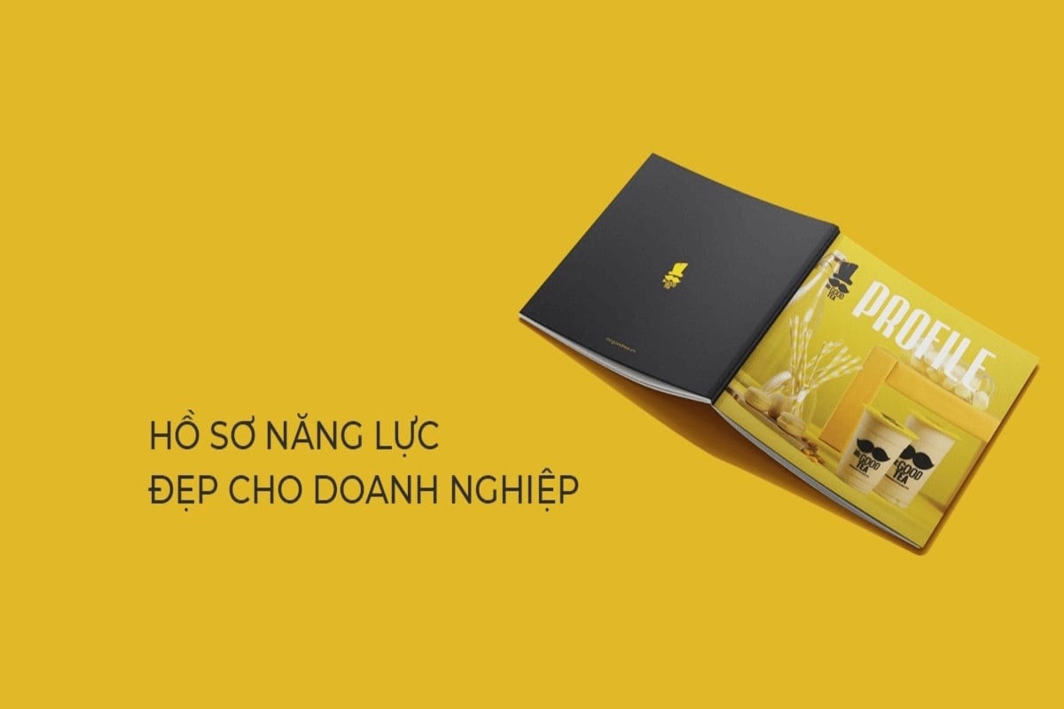 hồ sơ năng lực