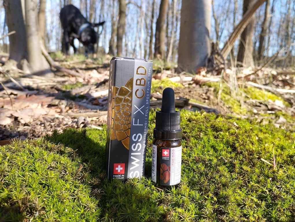 CBD Öl für Hunde