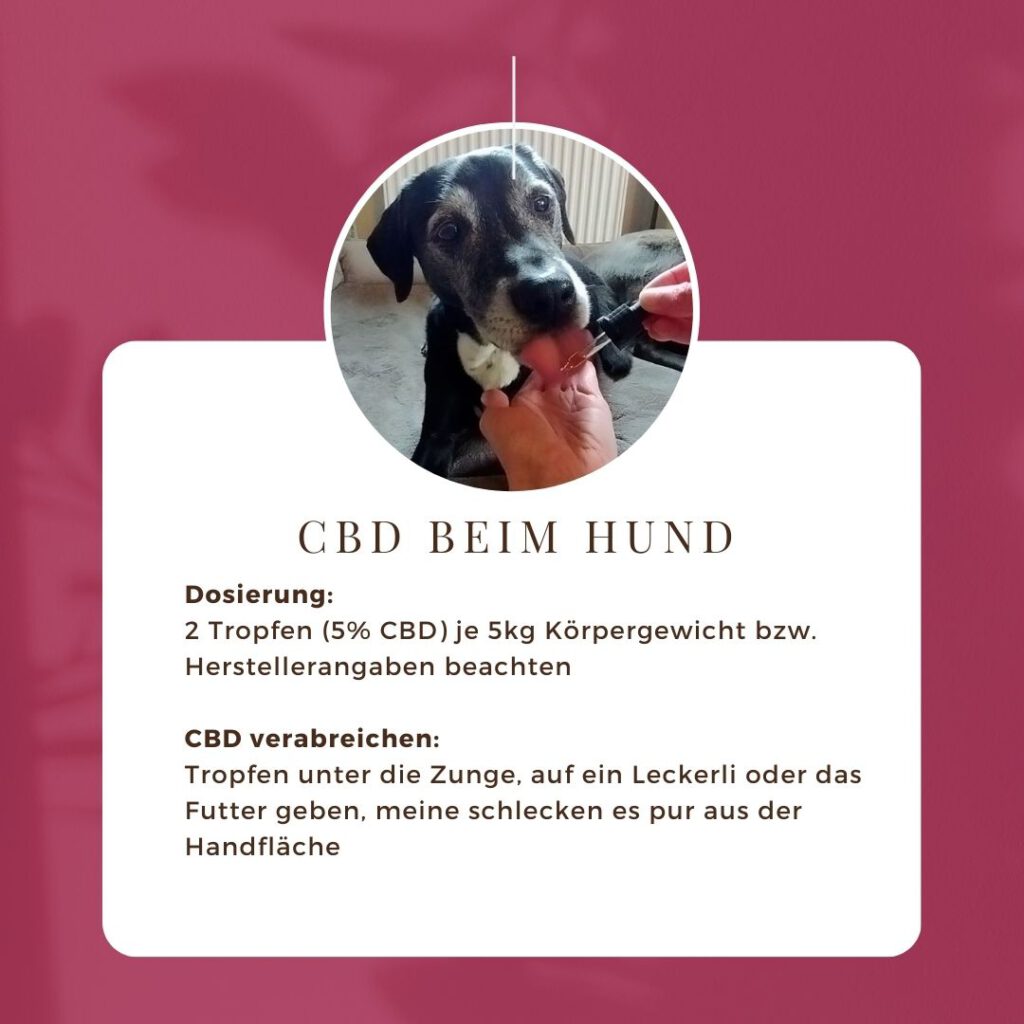 Fakten CBD 3