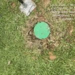 Timestamp Flowerpot top