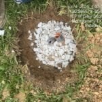 Timestamp Gravel added