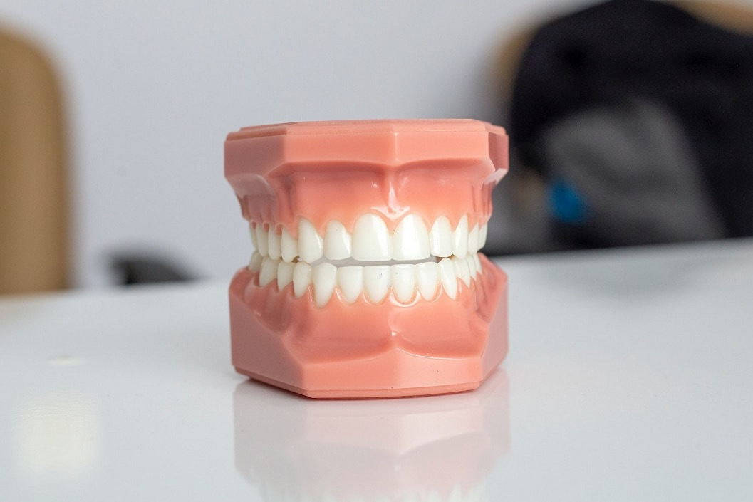 Rodzaje zębów u człowieka i ich funkcje