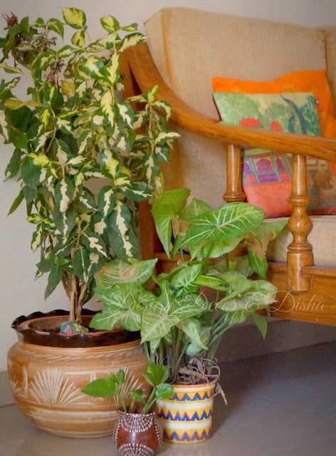 Keep Home Cool In Summers Keep Indoor Cool