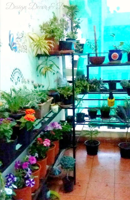 Indian Balcony Garden Balcony Garden