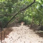 Photo Marshall Islands