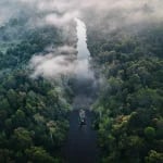 amazon jungle green trees under white clouds during daytime