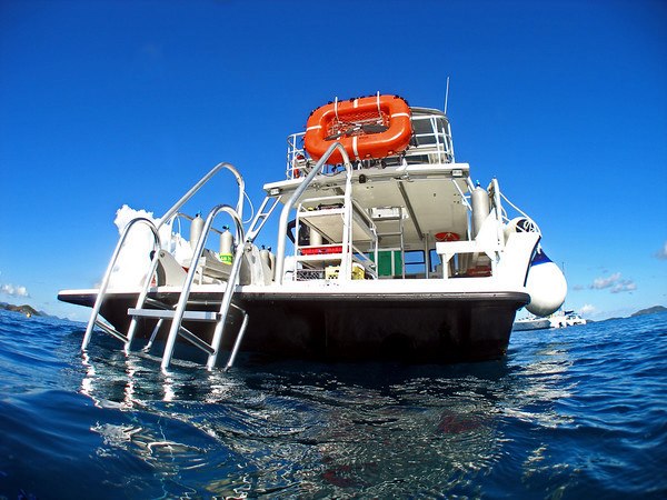 Sea Monkey Sea Monkey stern