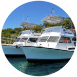 Dive Newtons Dive BVI Newton Dive Boats at Dive BVI