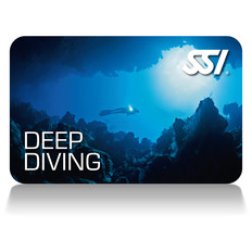 SSI Deep Diver card