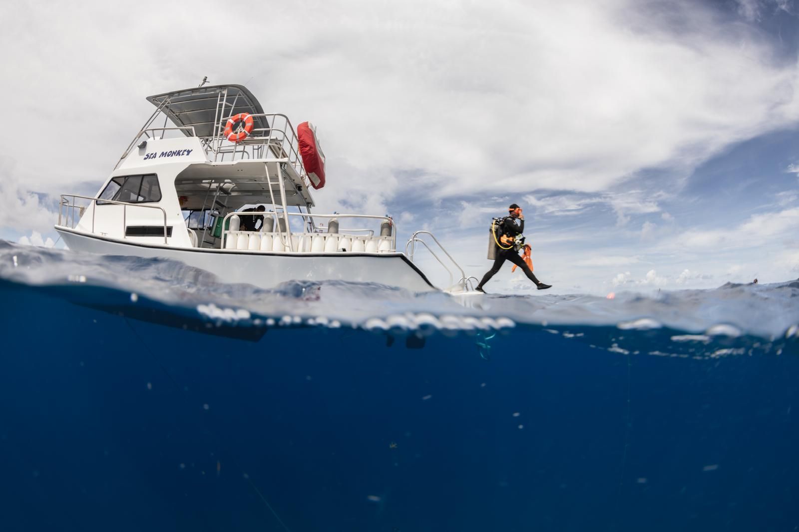 SeaMonkey_Becca img-7