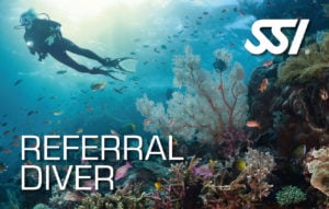 SSI Referral Diver card