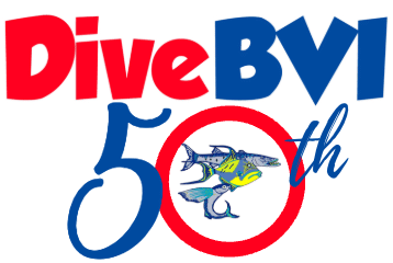 Dive BVI 50th Anniversary img-8