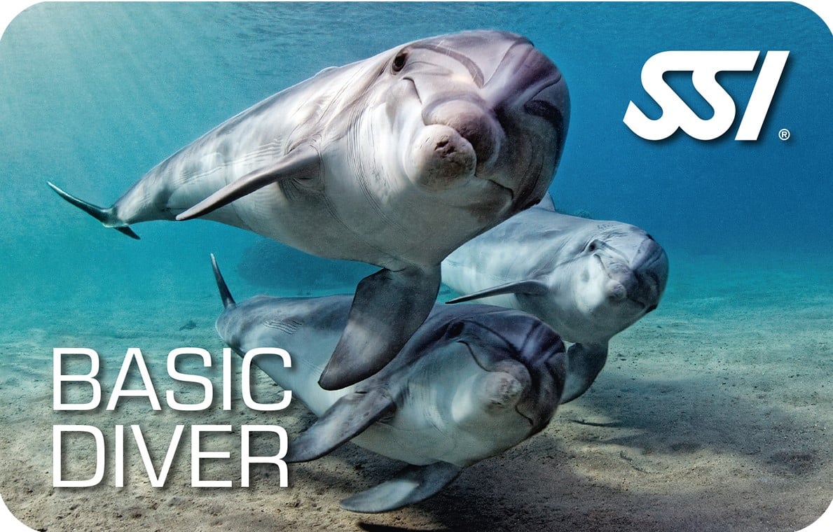 SSI Basic Diver SSI Basic Diver card