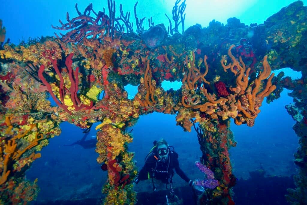 Marine Ecology