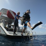 Diver doing giant stride