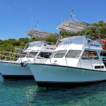 Sea Monkey and Sea Dragon at Cooper Island