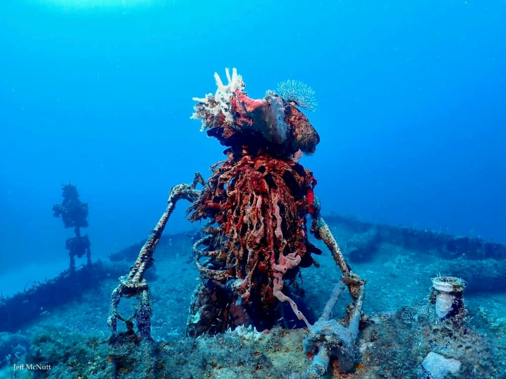 Reef-safe Sunscreen for the win!