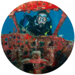 Airplane Wreck BVI Airplane Wreck BVI