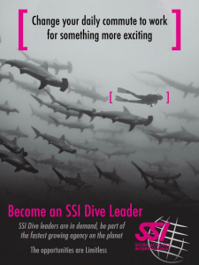 SSI-Dive-Leader
