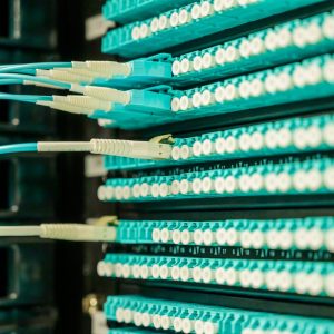 pexels-brett-sayles-2425567 pexels-brett-sayles-2425567