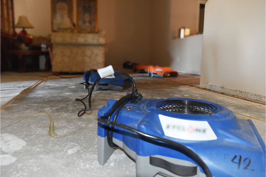 Blog, Discount Water and Mold Removal