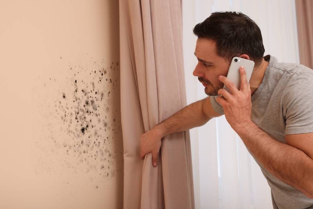 Blog, Discount Water and Mold Removal