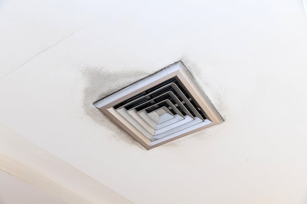 HOME, Discount Water and Mold Removal