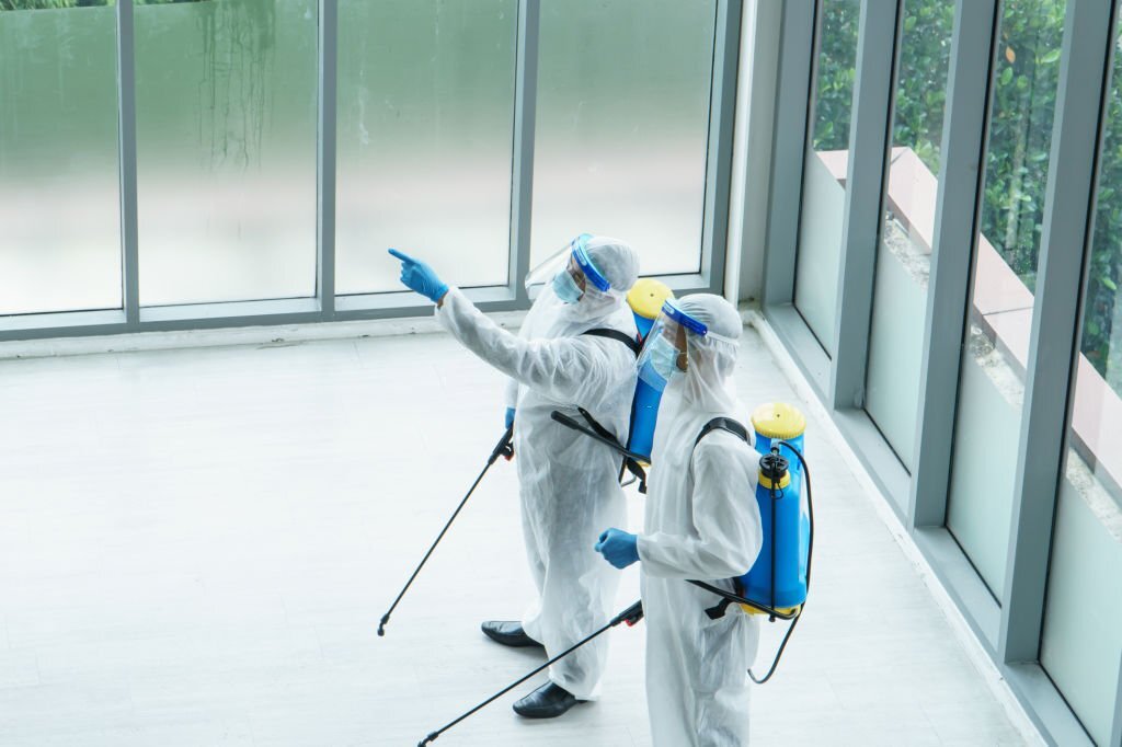 Blog, Discount Water and Mold Removal