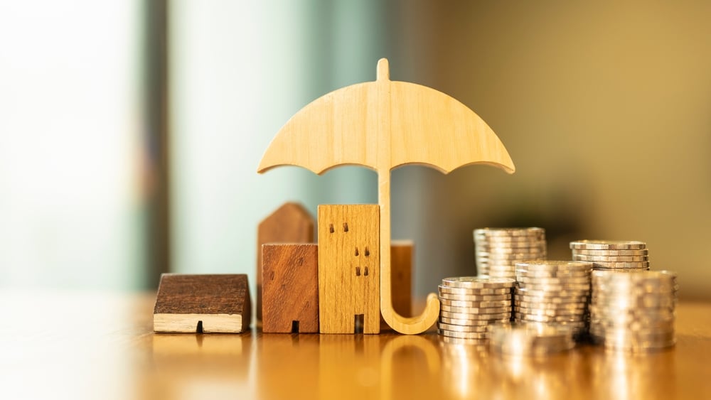 does insurance cover mold removal in florida homes