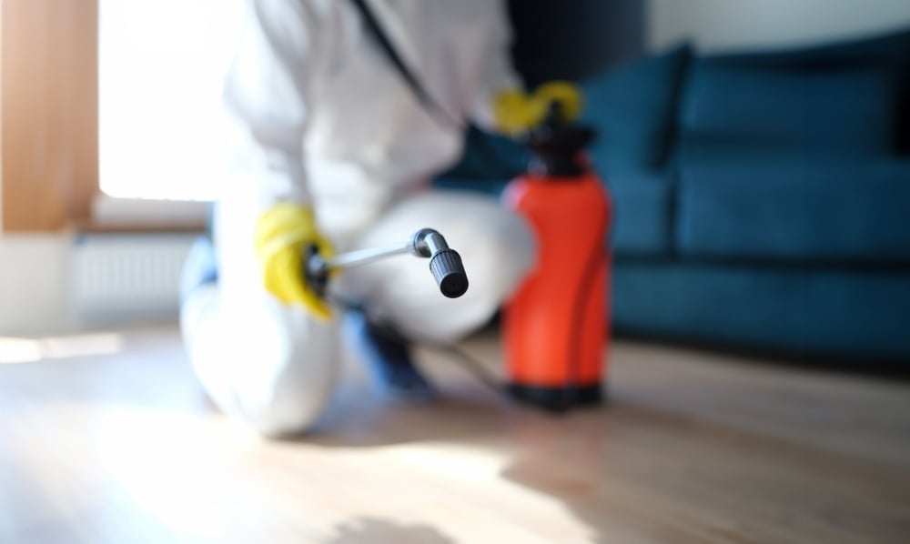 Blog, Discount Water and Mold Removal