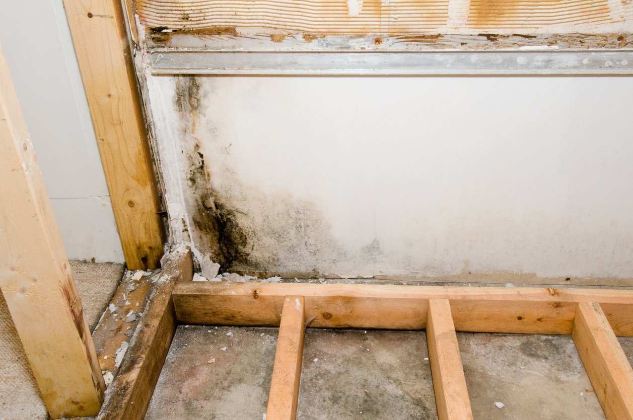 Blog, Discount Water and Mold Removal