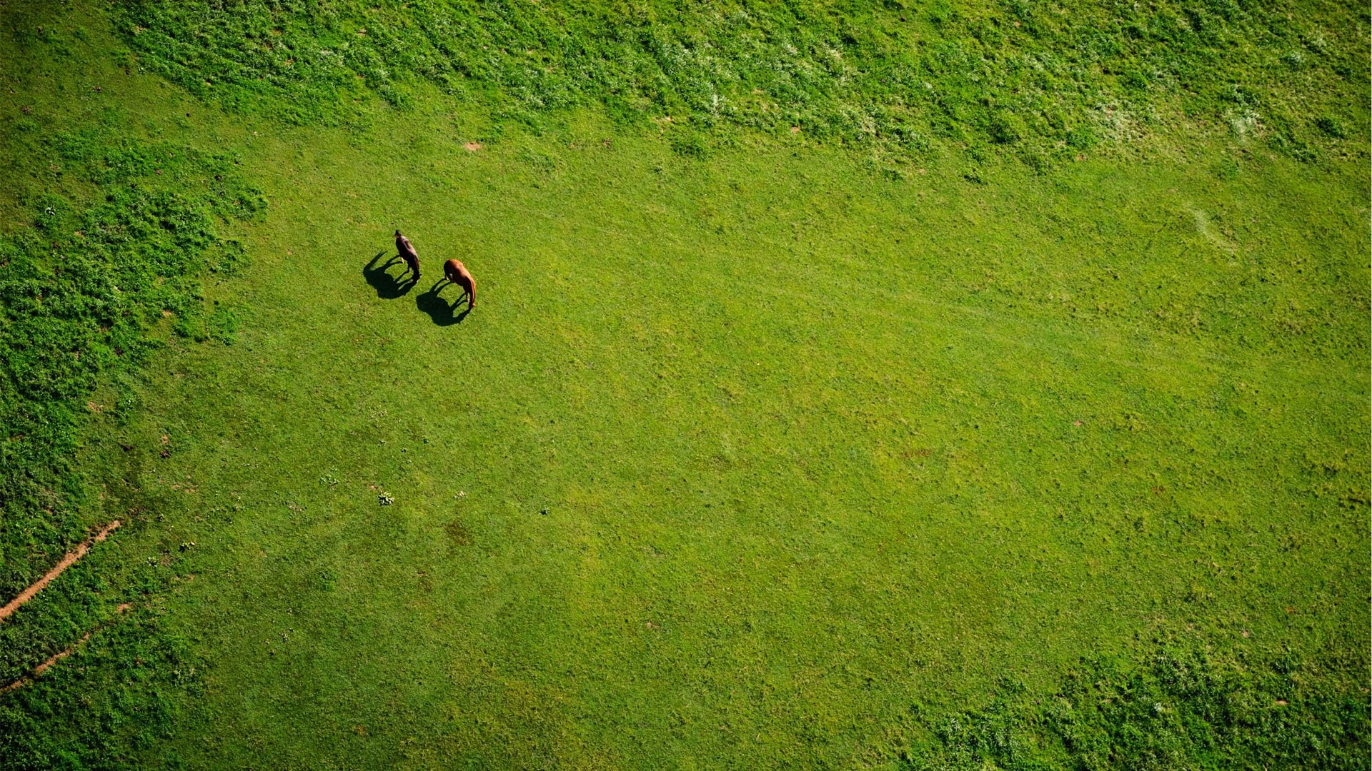 drone-video-laten-maken-13